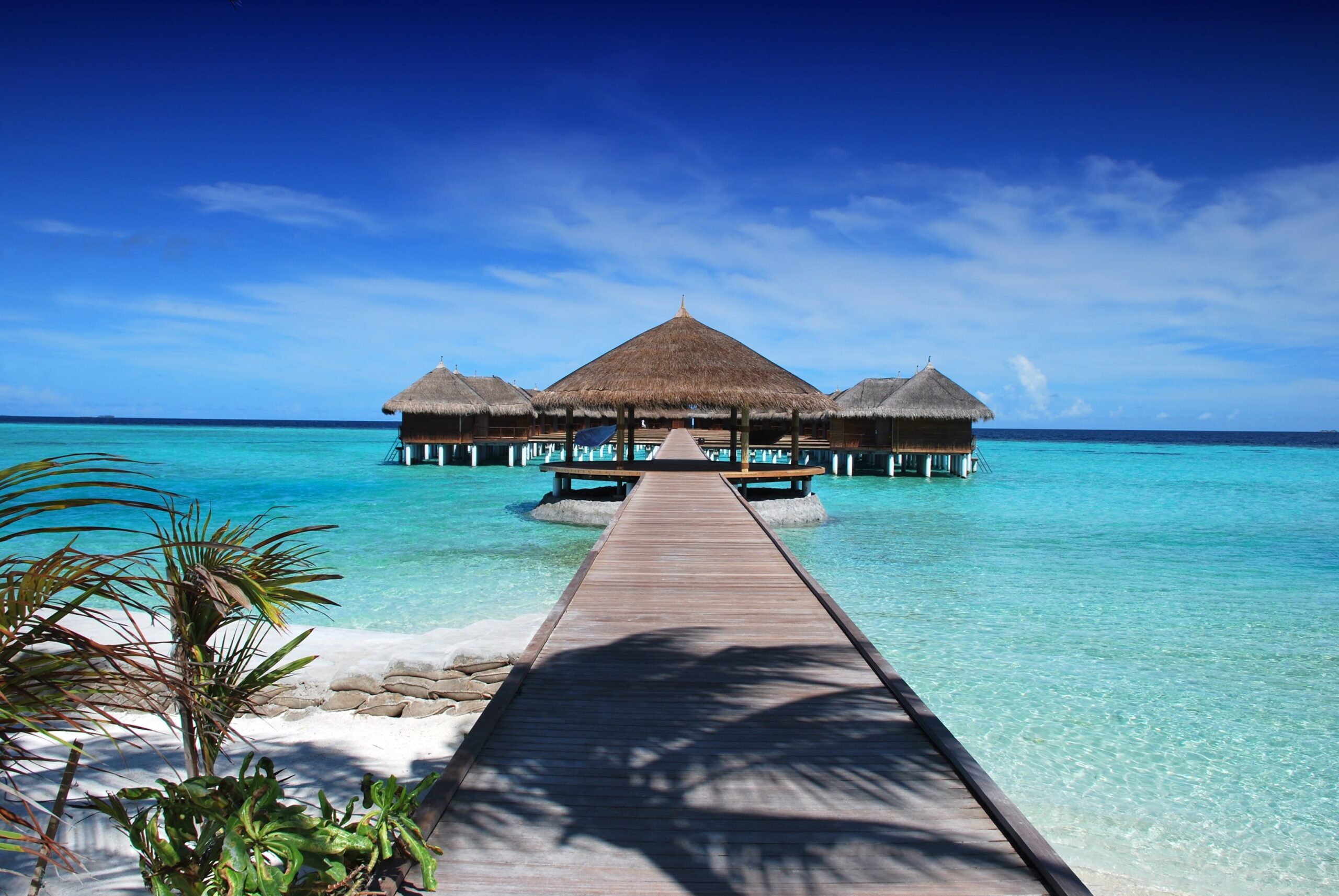 Ruhige Strandszene. Exotische tropische Strandlandschaft für Hintergrund oder Tapete. Design des Sommerurlaubskonzepts.